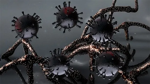Koronavirüs mutasyona uğradı! Dünyayı korkutan araştırma ortaya çıktı! Artık bu şekilde saldırıyor-2