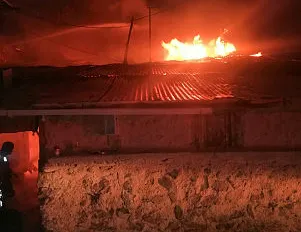 Ahırda çıkan yangında 30 küçükbaş öldü