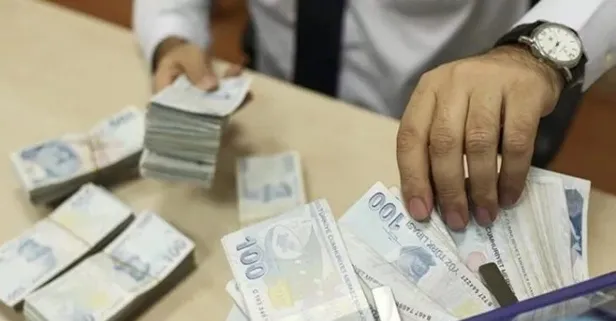 Devletten hibe almanın şartları nedir? Kaç lira hibe alınabilir? Devletten geri ödemesiz para nasıl alınır?