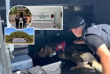 7 bin personelle 28 ilde uyuşturucu operasyonu: 96 şüpheli yakalandı... Tonlarca zehri sosyal medyada pazarladılar