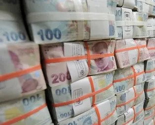 Yaşlılara destek için 11 milyon lira