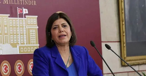 Kandil'in tavşanları! DEM Meral Danış Beştaş ve Murat Çepni ismiyle neyi amaçladı? Ekrem İmamoğlu işin neresinde?