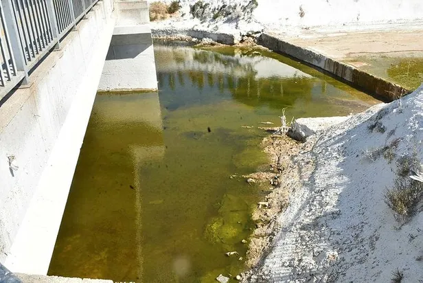 İzmir'de Meles Deltası'ndan 'kötü koku yayılıyor' şikayeti: "3 maskeyle buradan geçiyoruz"-3