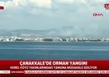 Son dakika: Çanakkale'de orman yangını!