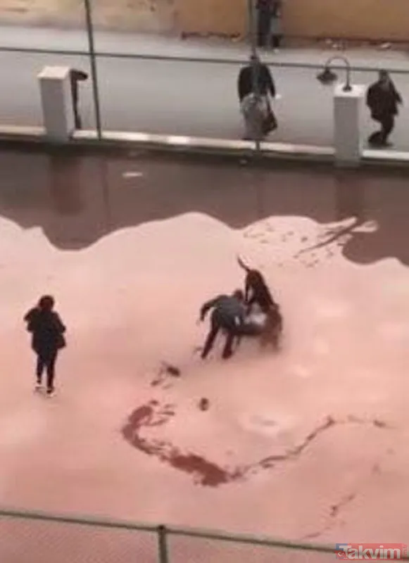 Gaziantep'te iki "pitbull"un minik Asiye Ateş'e saldırısıyla ilgili iddianame hazırlandı: Köpekler silah olarak nitelendirildi - 4