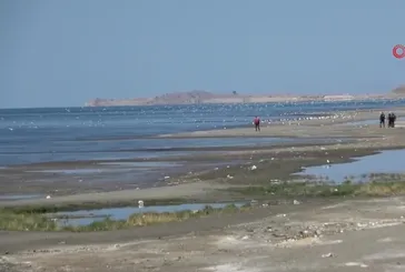 Kayıp Rojin Kabaiş için umutlu arayış devam ediyor!