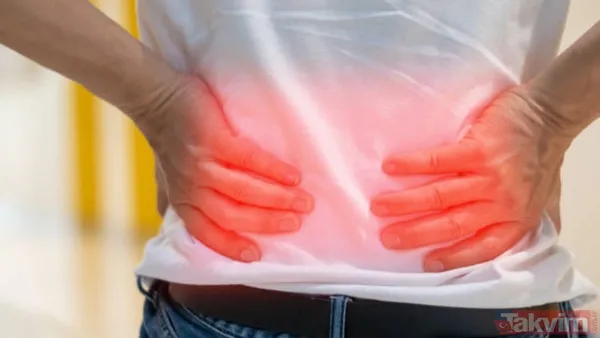 Beş Yıl Boyunca Yürütülecek Proje Kapsamında Nöropatik Ağrıya İlişkin Biyolojik İşaretleyiciler İncelenecek Ve Doğal Peptitleri Temel Alan Yeni Tedavi Modelleri...