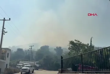 Bodrum'da maki yangını!