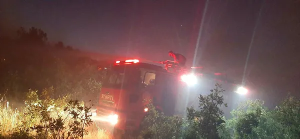 Mersin, Hatay, Çanakkale, Tekirdağ, Adana, Balıkesir, Diyarbakır'da orman yangını! Yangında son durum ne?-19