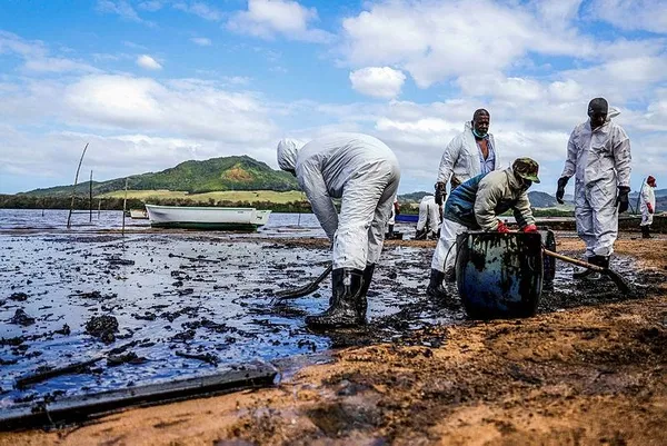 Mauritius'daki petrol felaketine karşı halk saçlarını bağışlıyor-2