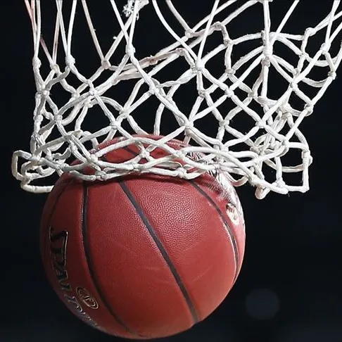 Darüşşafaka küme düştü