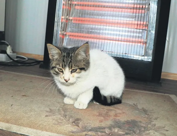 1676762193695.jpeg Onlarca kişiye mezar olan binadan bir tek o sağ kurtuldu-1