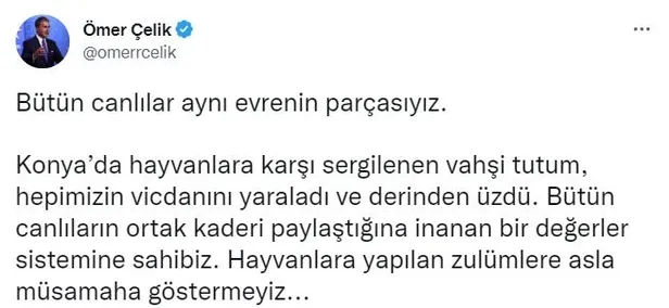 konyadaki-skandal-goruntuler-infial-yaratmisti-ak-parti-sozcusu-omer-celik-hayvanlara-yapilan-zulumlere-asla-m-1669392046350.jpeg Konya'daki skandal görüntüler infial yaratmıştı! AK Parti Sözcüsü Ömer Çelik: Hayvanlara yapılan zulümlere asla müsamaha göstermeyiz-2