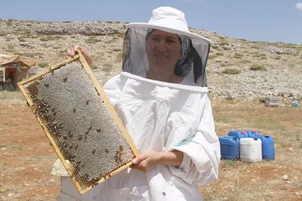 arilar-1500-cicekten-topladi-mersinde-2-bin-rakimli-toros-daglarinin-zirvesinde-bag-sagimi-basladi-1627457687300.jpg Arılar 1500 çiçekten topladı! Mersin'de 2 bin rakımlı Toros Dağları'nın zirvesinde bağ sağımı başladı-5