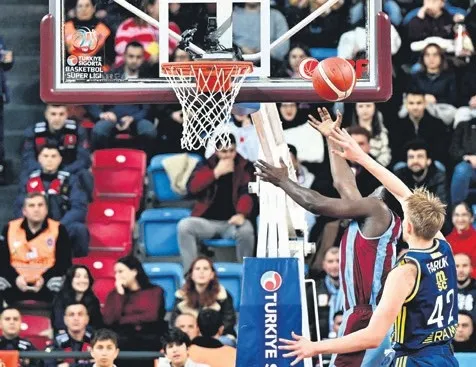 Kaplan Kanaryay’yı boğdu