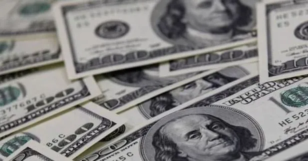 Türkiye'nin dolar hamlesinden rahatsız oldular!