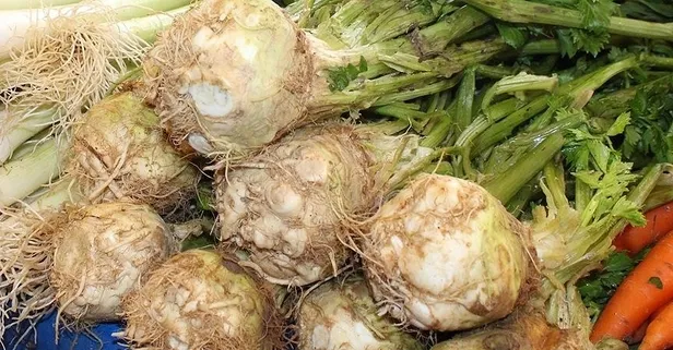 Mideye kereviz takviyesi