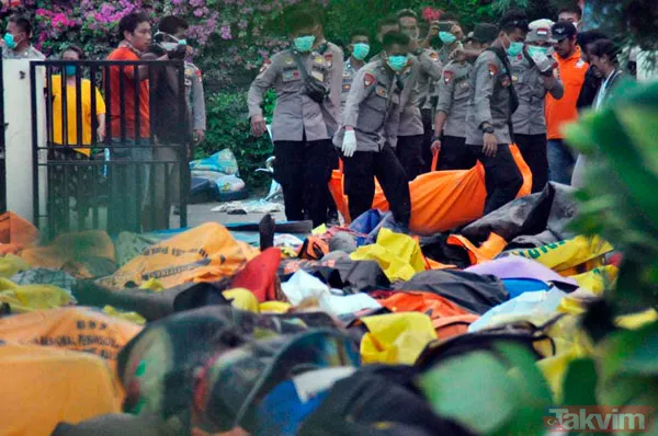 Tsunaminin vurduğu Palu neredeyse haritadan silindi - 14