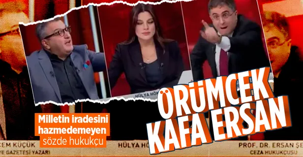 Millet iradesini hazmedemiyorlar! Ersan Şen'den AK Parti ve Başkan Erdoğan'ı destekleyen vatandaşlara hakaret: Örümcek kafalılar