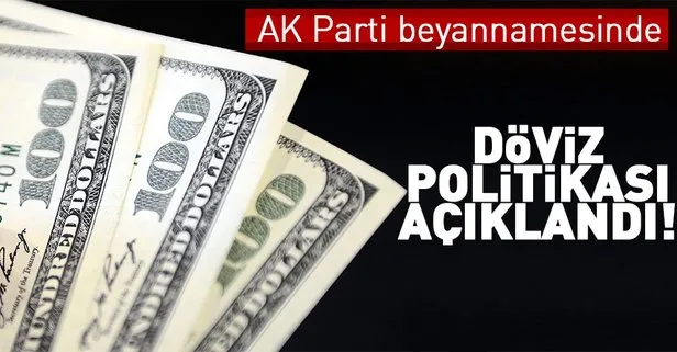 AK Parti beyannamesinde döviz politikası açıklandı