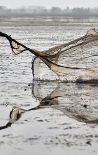 Rüyada balık ağı görmek ne anlama gelir?