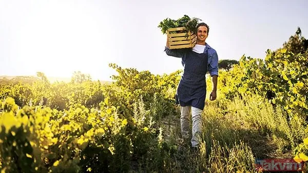 Çiftçiye mazot, yem ve gübre desteği! Tarım ve Orman Bakanı Vahit Kirişci açıkladı! Nasıl yararlanılacak? İşte detaylar... - 3