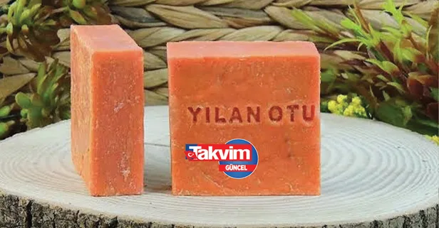 Yılan otu sabunu faydaları nelerdir? Yılan otu sabunu hangi cilt tiplerinde kullanılır? Yılan otu sabunu ne işe yarar?