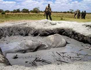 Başlarını belaya soktular