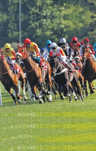 Hipodromun sultanları!