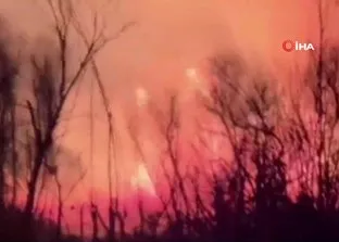 Çankırı’da arazi yangını