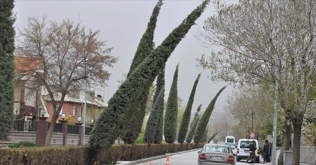 HAVA DURUMU | Meteoroloji’den Marmara’ya uyarı! Saatte 60 km! Bugün hava nasıl olacak? | 19 Haziran 2022 hava durumu