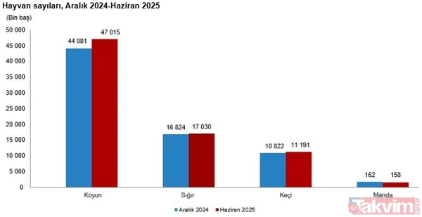 Hayvancılıkta yükseliş: TÜİK verilerine göre büyükbaş ve küçükbaşta rekor artış - 3