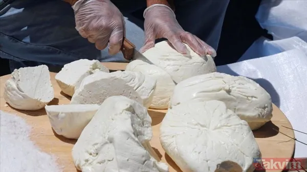 Dünyanın en iyi peynir üreten ülkeleri açıklandı: Türkiye listede kaçıncı sırada? - 7