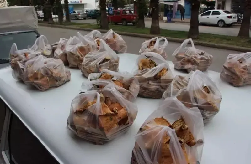 ormanda-saganakla-birlikte-fiskiriyor-sezonu-acildi-kilosu-350-tlden-alici-buluyor-1763050375994.jpg Ormanda sağanakla birlikte fışkırıyor! Sezonu açıldı kilosu 350 TL’den alıcı buluyor-4