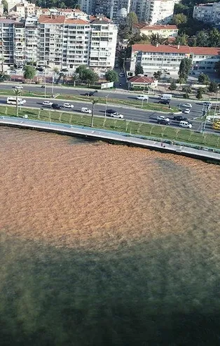 Son dakika: İzmir'de su borusunun patlaması nedeniyle denizin rengi değişti