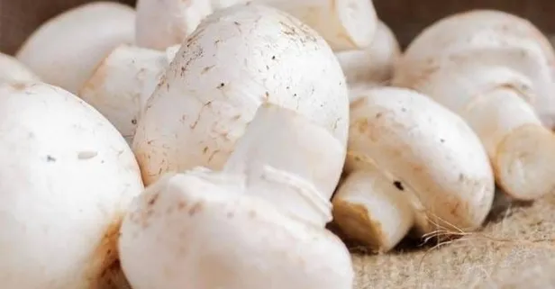 Beyin için mantar yiyin