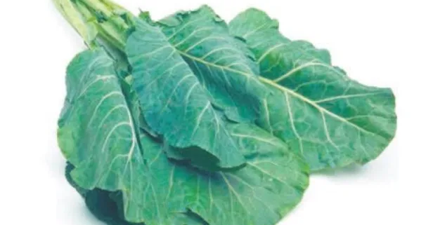 Kansızlığa karalahana