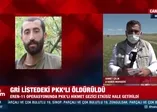 Gri kategoride aranan Eriş Garzan kod adlı terörist Hikmet Gezici öldürüldü!