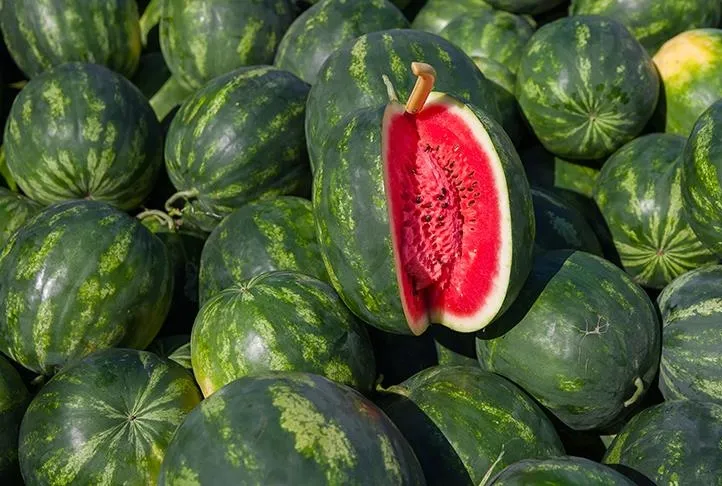 Karpuz tüketmenin ’altı’n kuralı