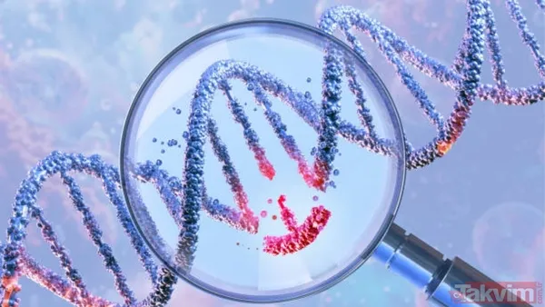 Anne ve çocuklar sanılıyordu: 5.500 yıllık mezardan bambaşka hikaye çıktı - 3