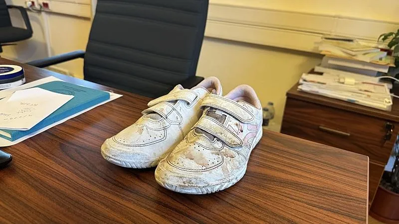 MASAK'ın mama lobisi raporu ortaya çıktı! İşte sokakları terörize eden sözde hayvanseverlerin 4 ayaklı çetesi-7