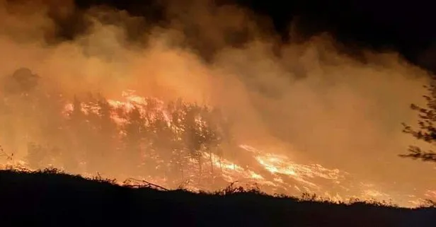 Adana’da orman yangını!