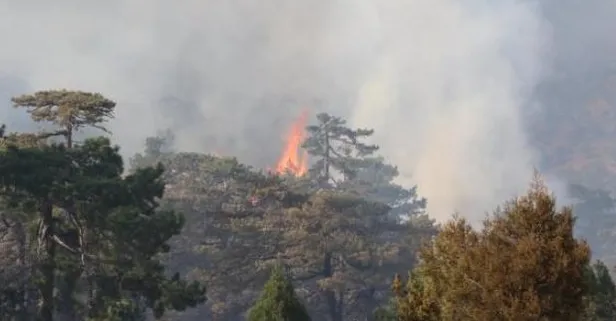 Çok sayıda ilde yangın! Alevlere havadan ve karadan müdahale sürüyor