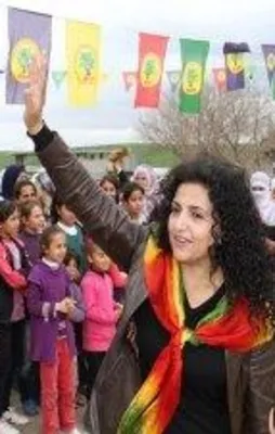 Bismil'e kayyum atandı