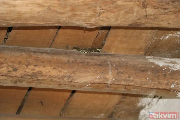 Hakkari Yüksekova'da evlerini yılanların istila etmesi üzerinde yeni ev yapılan aile rahatladı - 16