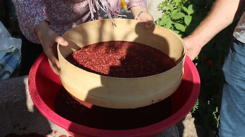 suya-1-kasik-sumak-atip-icin-ve-mucizeye-tanik-olun-aninda-etkisini-gosterecek-1723572429849.jpg Anında etkisini gösterecek: Suya 1 kaşık sumak atıp için ve mucizeye tanık olun!-5