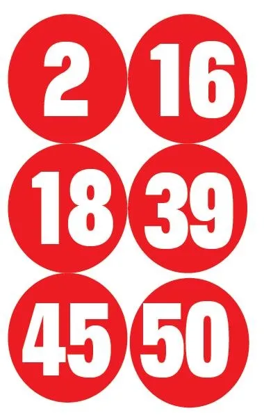 Zeynep Şenpınar'ın öldürüldüğü davada karar çıktı: Selim Ahmet Kemaloğlu'na müebbet (Yaşam haberleri)-2