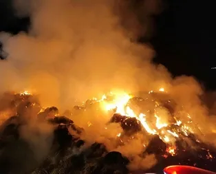 Tonlarca saman ve yem kül oldu