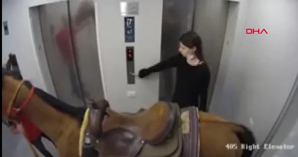 israilde-asansore-atini-bindirmek-isteyen-kisi-gozaltina-alindi-1619792044906.jpg İsrail'de asansöre atını bindirmek isteyen kişi gözaltına alındı-3