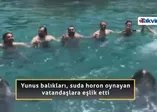 Yunus balıklarının tulumla horon keyfi